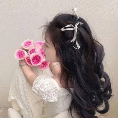 盲人律师封面