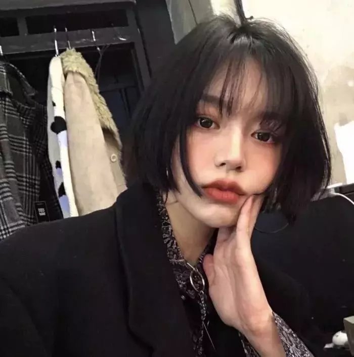 七宝奇谋封面